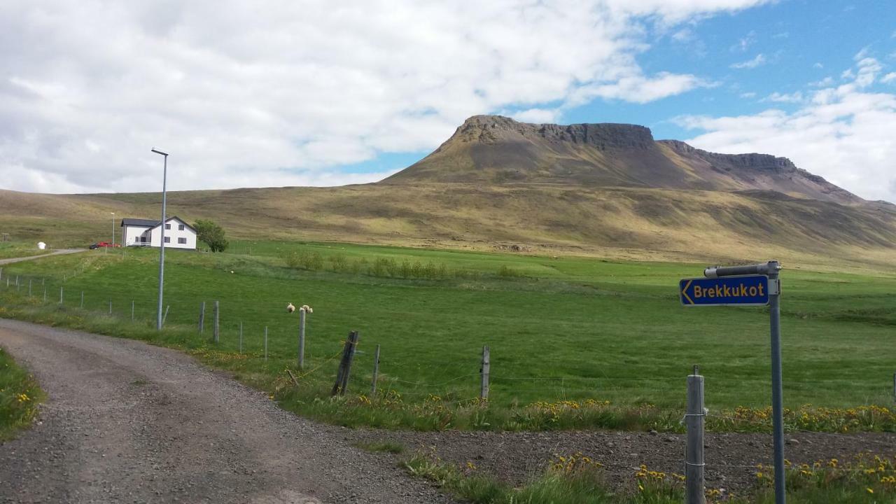Brekkukot Cottages, Bloenduos Blonduos Exteriör bild